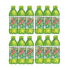 Diet Mountain Dew 16.9 oz bottles 4 6-packs